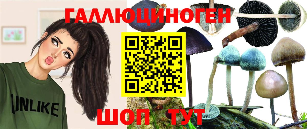 купить наркотик  Псилоцибиновые грибы мухоморы  Вход с VPN  Чебоксары 
